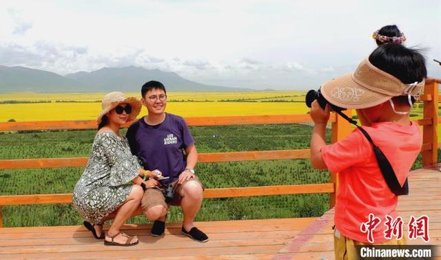 中国北方最大小油菜种植区“遍地流金”风光旖旎