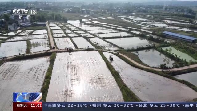 千里沃野筑粮仓 四川主产区迎丰收