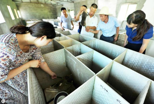 竹鼠养殖场，如何做好养殖池子，这些材料不合适使用，用了还浪费