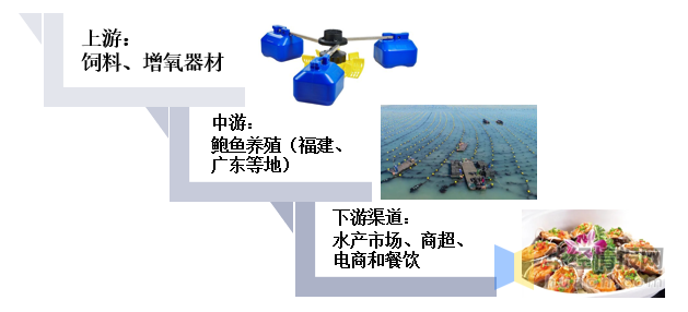 2020年中国鲍鱼养殖及产业链整体分析，下游需求带动产量逐年上升