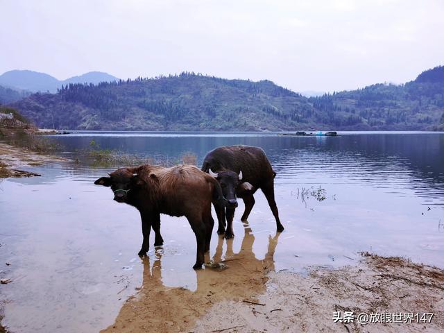 农民种地到底挣钱还是不挣钱?