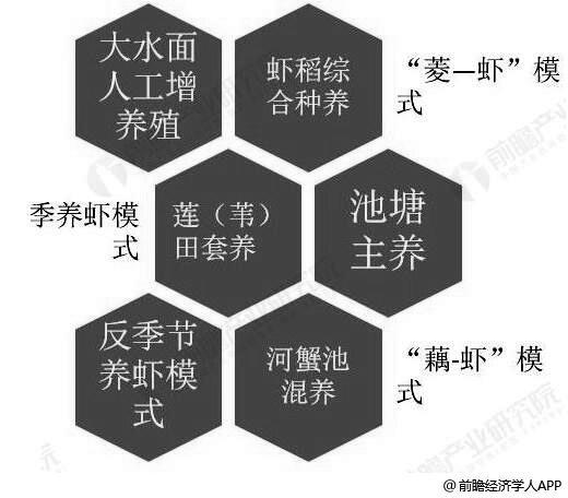 2019年中国小龙虾产业市场现状及发展前景分析 未来产业化经营将成为发展方向