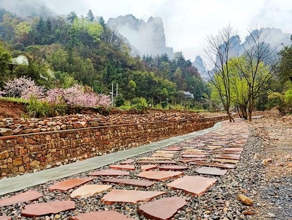 武陵源区中湖乡：“野鸡”变“凤凰” 风貌改造撬动乡村旅游“大升级”