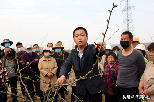 “科技之春”宣传月——花椒技术培训篇