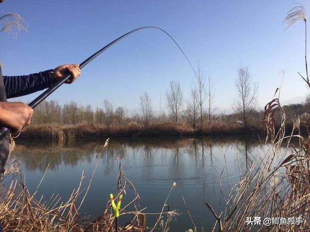 冬钓鲫鱼速成之总结，新手不用师傅带，独钓也能满篓鱼