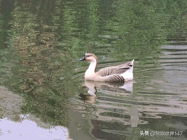 农民种地到底挣钱还是不挣钱?