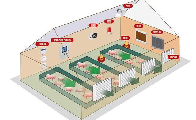 猪舍养殖环控系统应用，自动通风喂料，促进智慧养殖