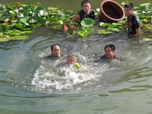 绝！鄂州有片“水下森林”