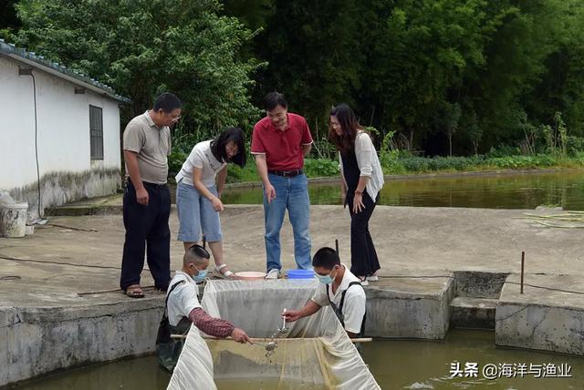 韶关第一个省级草鱼良种场——始兴县水产良种场