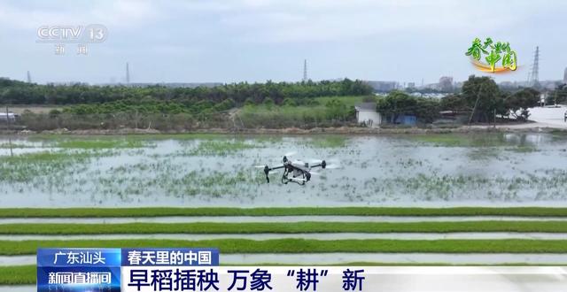 万象“耕”新 百花争艳 春天里的中国生机勃勃