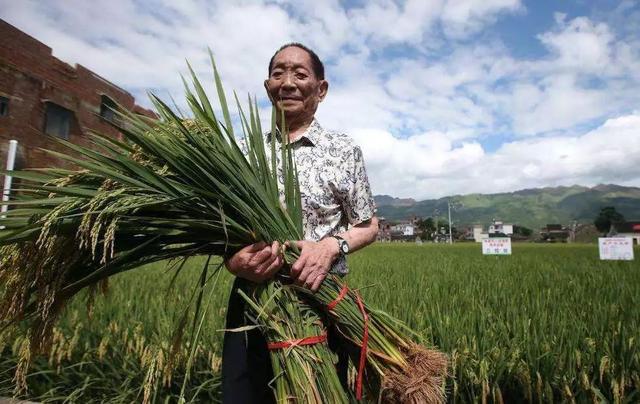 袁隆平：从富家少爷到插秧务农，忙碌一生，无愧于国却有愧于家