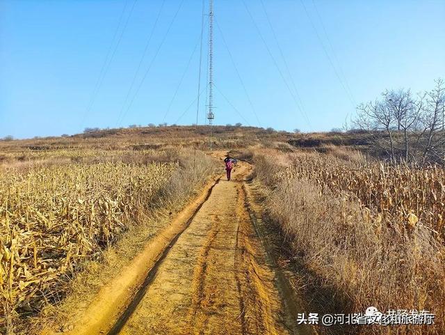 奇观！井陉有座“骆驼峰”！