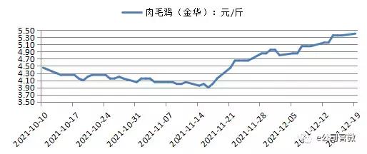 “鸡尾”也疯狂！鸡苗鸡肉价格畅旺，哪些养殖业龙头股值得关注？