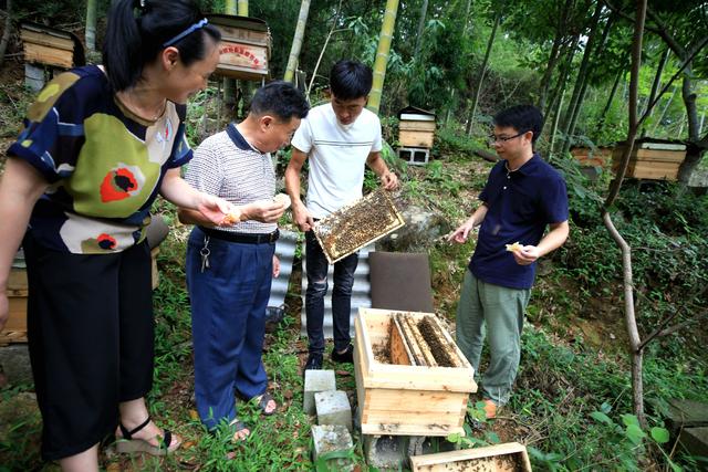 福建省邵武市：野熊家庭农场积极创建蜜蜂养殖标准示范场