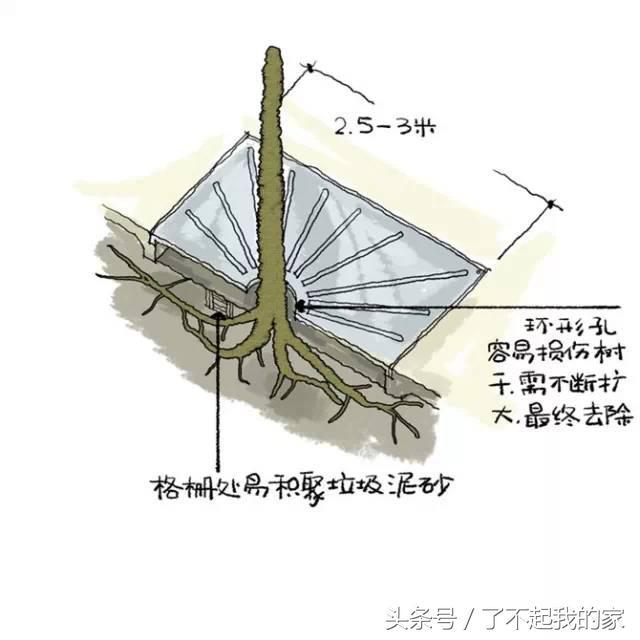 图解园林景观之乔木种植秘诀