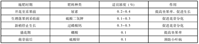 盆栽苹果的制作及养护技术