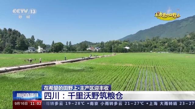 千里沃野筑粮仓 四川主产区迎丰收