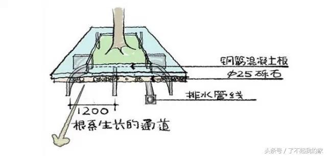 图解园林景观之乔木种植秘诀