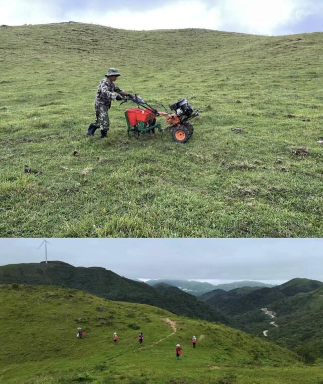 南山牧场牧草生产能力显著提高 亩产鲜草量比天然牧草产量高2.87倍