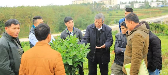 袁隆平、褚时健、李登海……我们心目中的种植匠