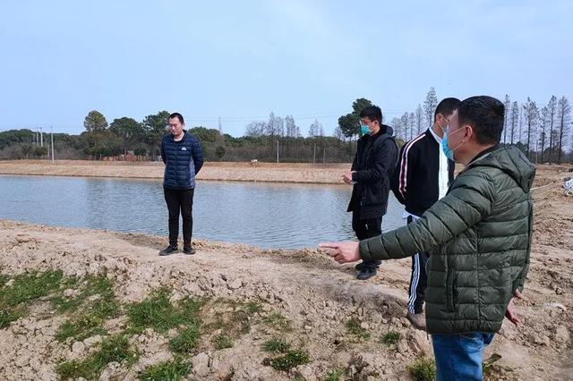 江苏省青虾育苗团队和江宁基地到塘口指导春季青虾生产养殖