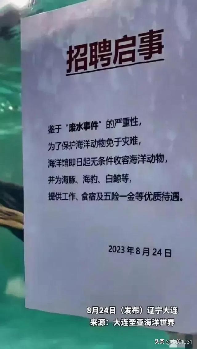 大连圣亚海洋世界张贴出一份特殊的“招聘启事”