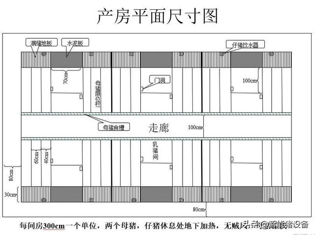 「管理」200头能繁母猪养猪场的总体设计规划方案