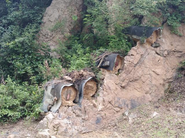 图虫人文摄影：山里的荆条花开了，土蜜蜂在采蜜