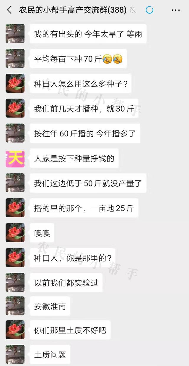 农民种小麦，一亩地播种低于50斤没产量？今年播种70斤，多不多？