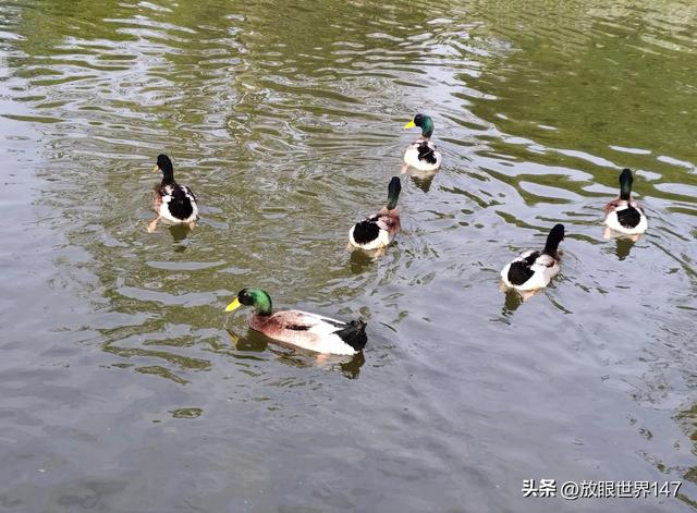 农民种地到底挣钱还是不挣钱?