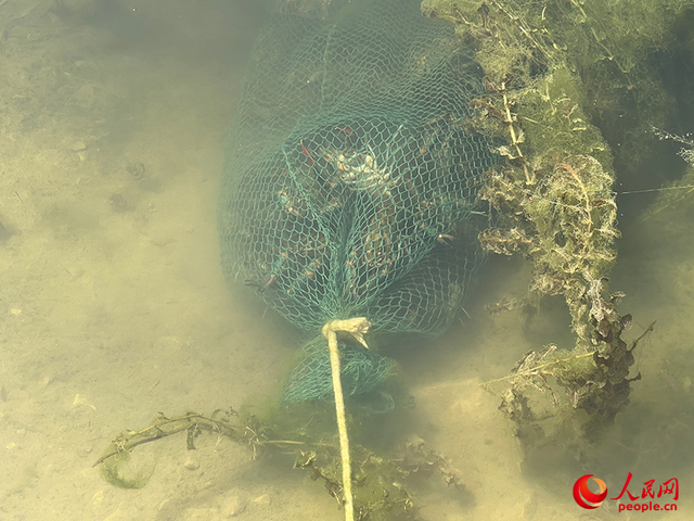 沿着河湖看新疆丨大漠荒滩育“澳龙”——探秘麦盖提澳龙养殖基地