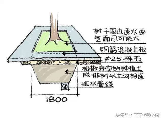 图解园林景观之乔木种植秘诀