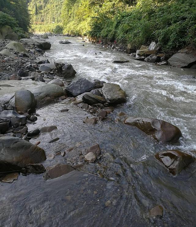 高山溪流中“吹弹即破”的冷水鱼，至今也不知道它的学名