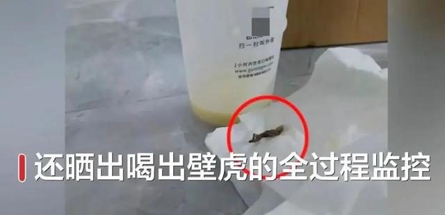 知名奶茶被曝喝出壁虎，消费者“弹射”离座！一年卖6亿多杯，还开到了意大利...品牌方最新回应