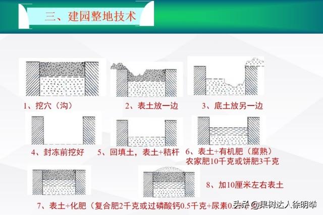 桃树栽植有技巧，栽植之前整地起垄有门道，你了解吗