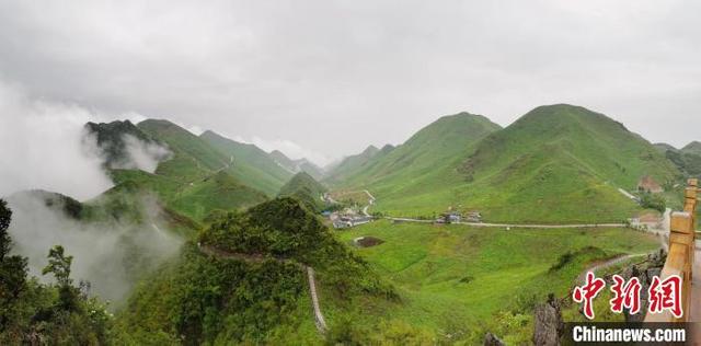 探访中国木香最大量产区县：三峡木香，香飘四海