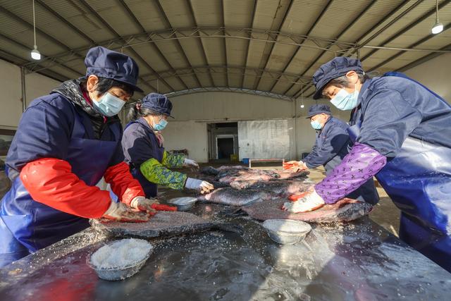 “青鱼之乡”新年迎丰收 特色养殖业助力共富