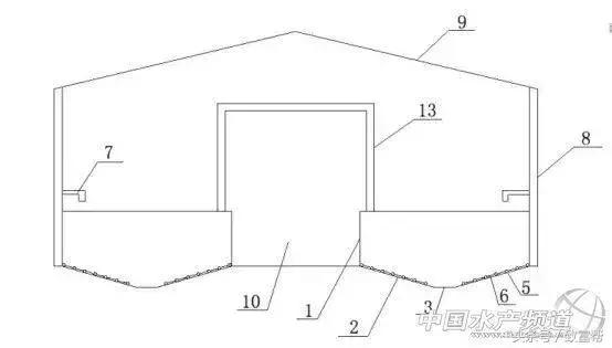 北方地区这样养殖南美对虾，成本低、资金回笼快，出产效率高