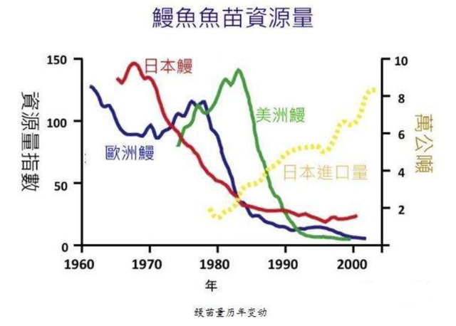 永久禁捕！鳗鱼的困局：身世诡异却成了家常便饭，死循环如何破解