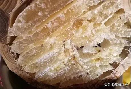 副业养蜂前景如何？给你算一笔账养50箱中蜂一年能有多少收入