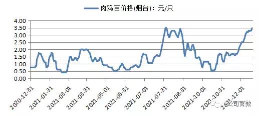 “鸡尾”也疯狂！鸡苗鸡肉价格畅旺，哪些养殖业龙头股值得关注？
