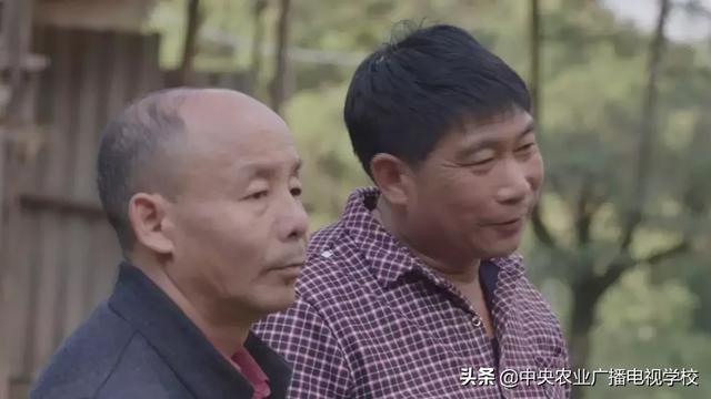 【农广天地】高颜值的贵妃鸡，老搭档养出新门道