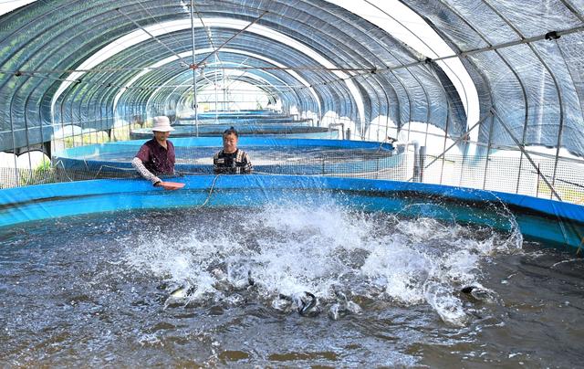 特色种植园绘成色彩斑斓田园风光，泛涨渡湖都市田园综合体初长成