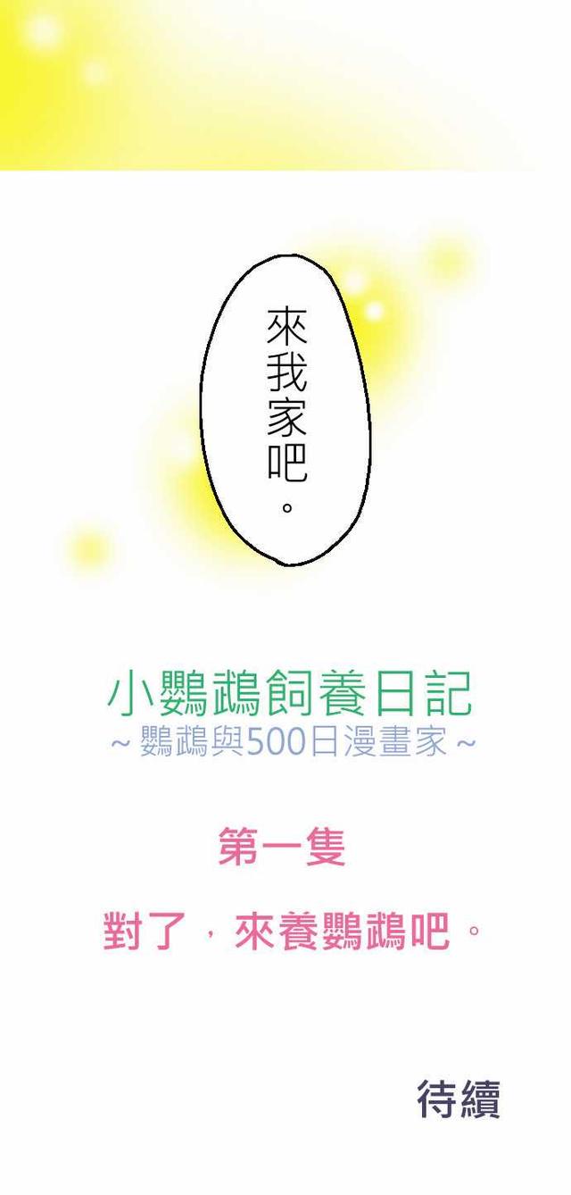 漫画：小鹦鹉饲养日记（第一话）