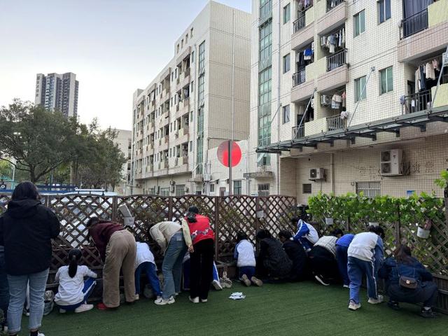 春色满园，马峦街道江岭社区亲子种植种下绿色理念