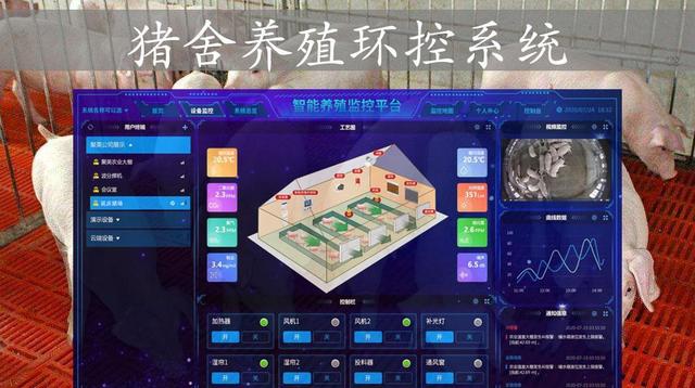 猪舍养殖环控系统应用，自动通风喂料，促进智慧养殖