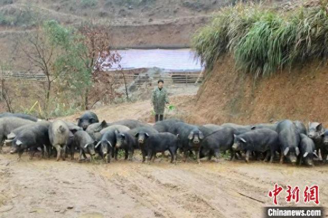 江西玉山：生态种养 助农增收