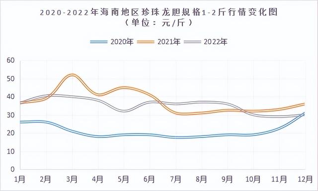 石斑鱼年产量已破20万吨！2023年，你对这条鱼的信心有多大？