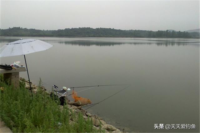 惊蛰之后开始钓浅滩，这些天气最适合浅水钓大鱼，遇上了赶紧出钓