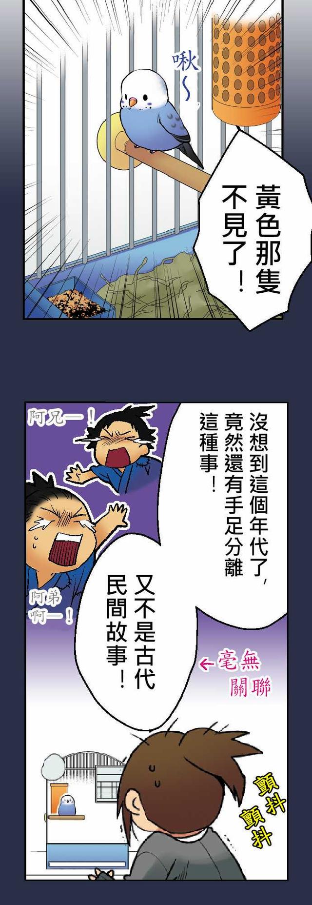 漫画：小鹦鹉饲养日记（第一话）